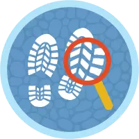Insignia de aspectos básicos de las soluciones de búsqueda