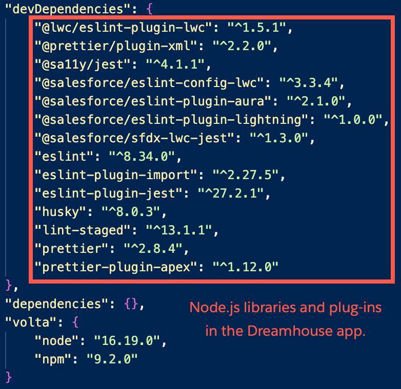 Node.js libraries in the Dreamhouse app.