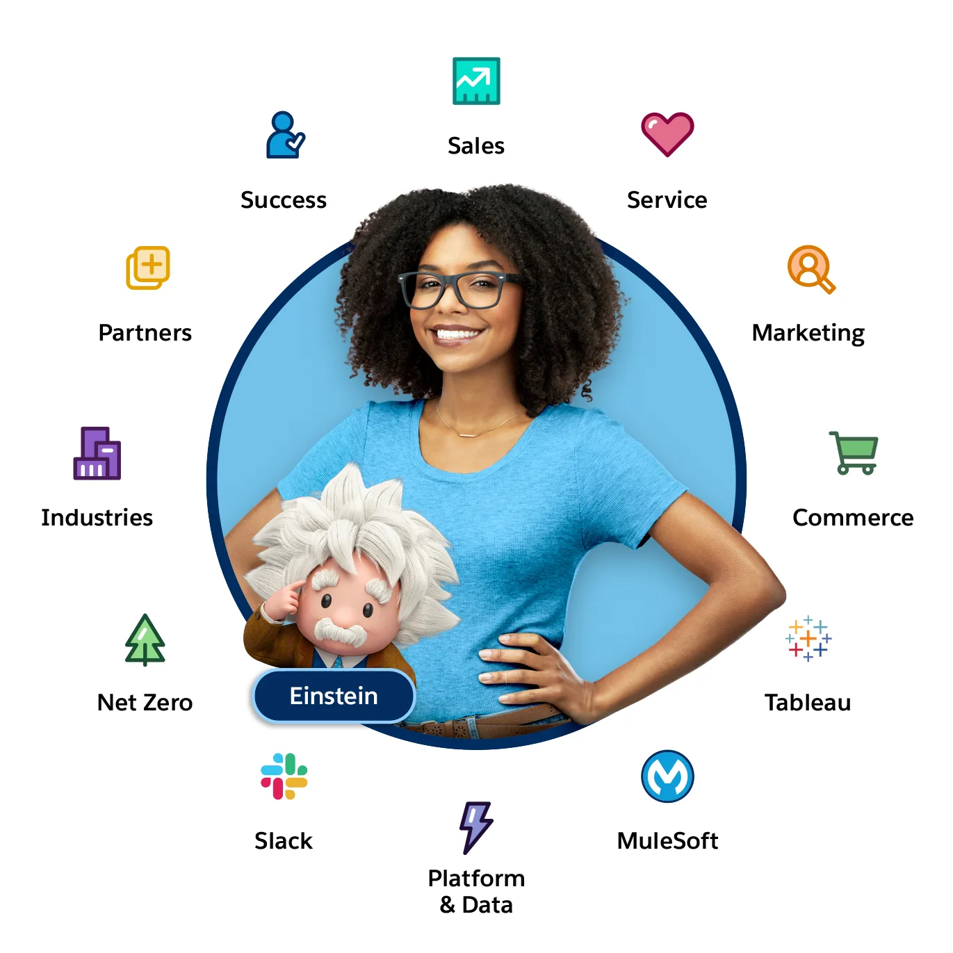 The Salesforce Einstein 1 Platform wheel.