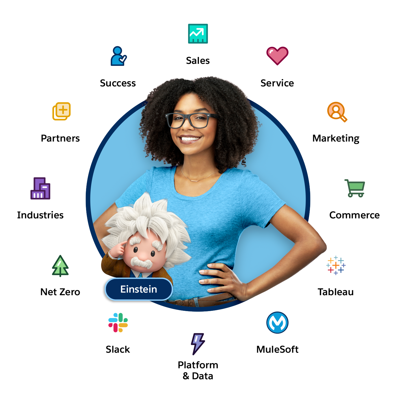 The Salesforce Einstein 1 Platform wheel.