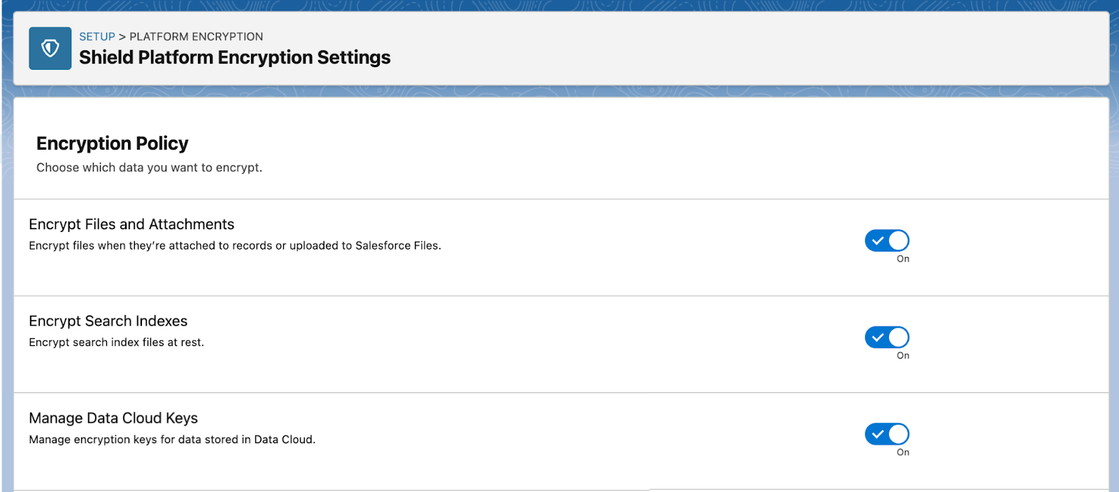 [Manage Data Cloud Keys (Data Cloud の鍵を管理)] 切り替えが表示されている [Encryption Policy (暗号化ポリシー)] ページ。