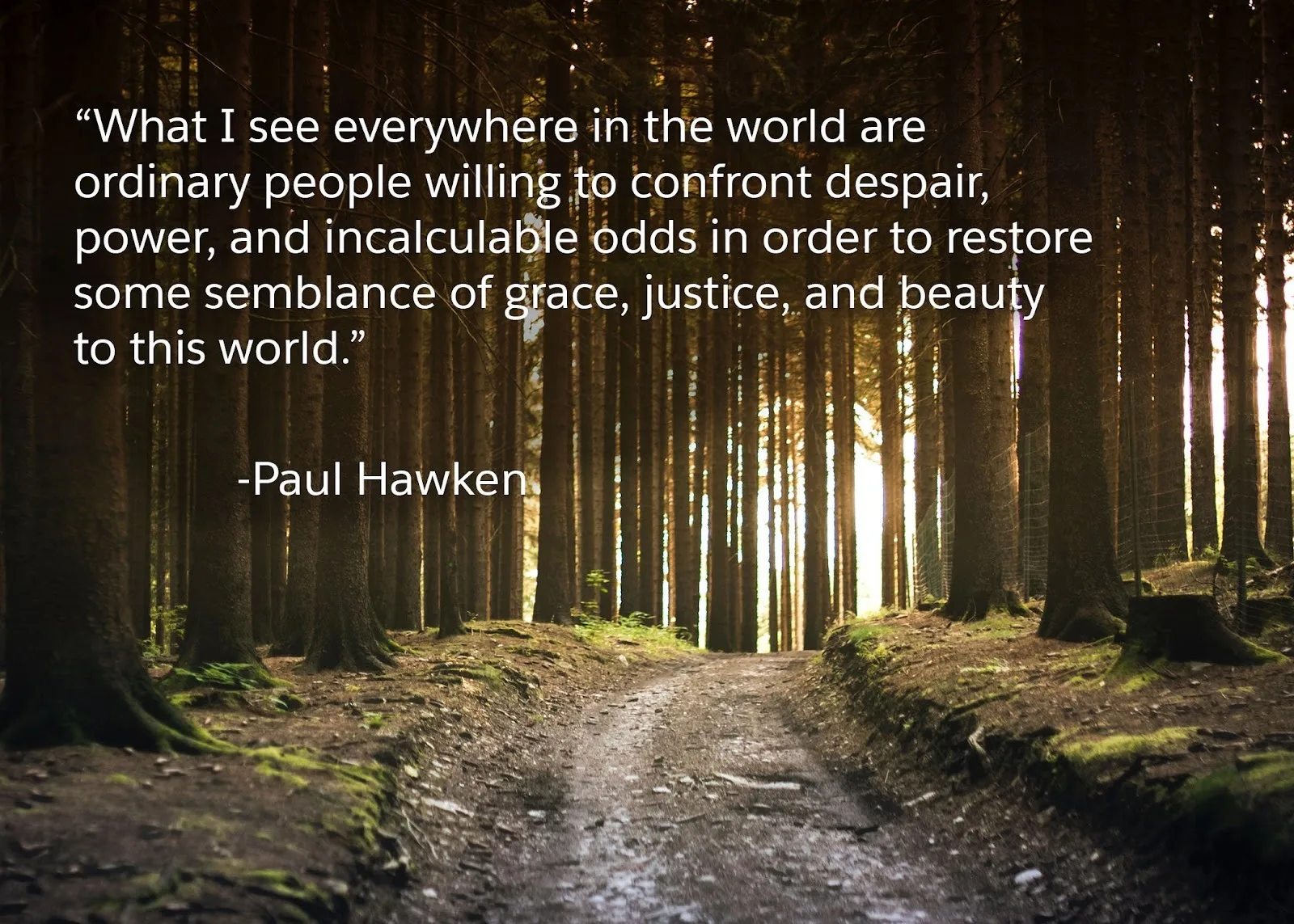 “What I see everywhere in the world are ordinary people willing to confront despair, power, and incalculable odds in order to restore some semblance of grace, justice, and beauty to this world.” —Paul Hawken