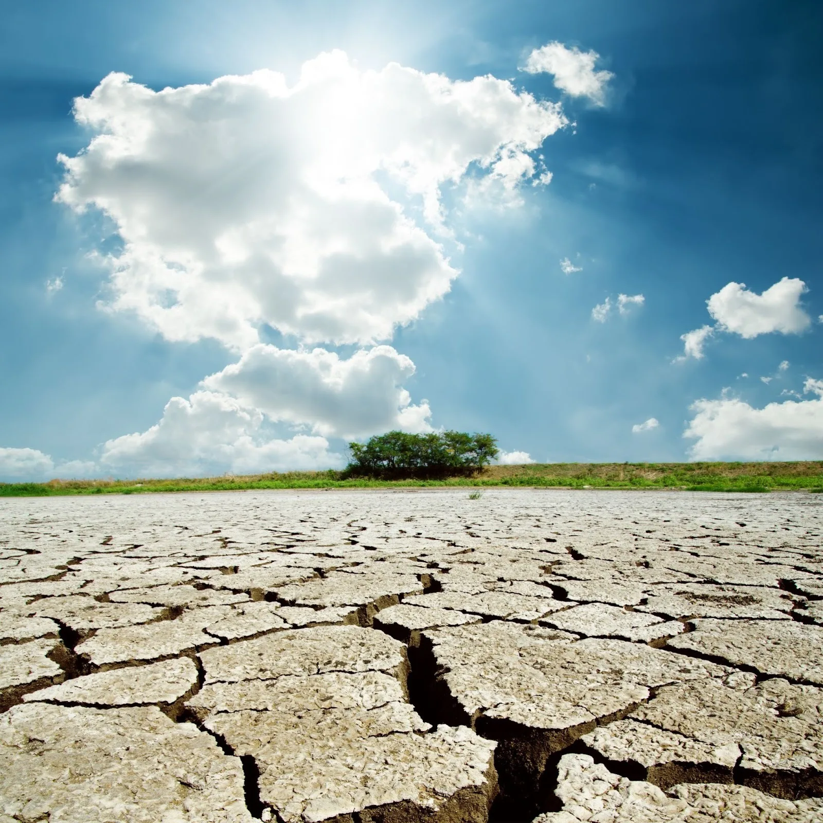 Water-stressed regions will likely experience more severe droughts because of climate change.