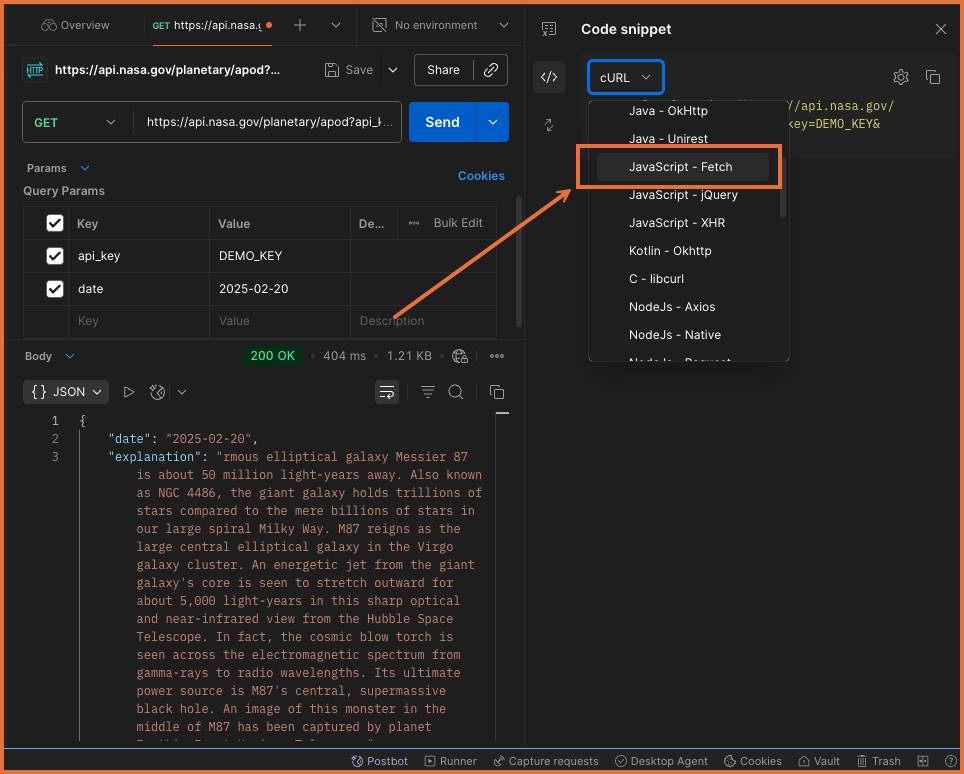 Code snippet with filter dropdown open and JavaScript - Fetch highlighted