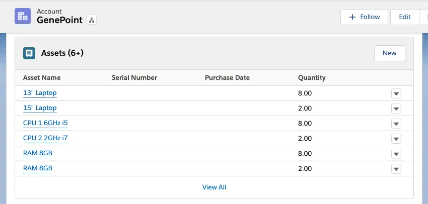 Asset related list on an account record.