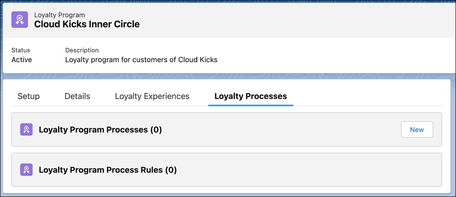 [Cloud Kicks Inner Circle] プログラムレコードの [Loyalty Processes (ロイヤルティプロセス)] タブ。