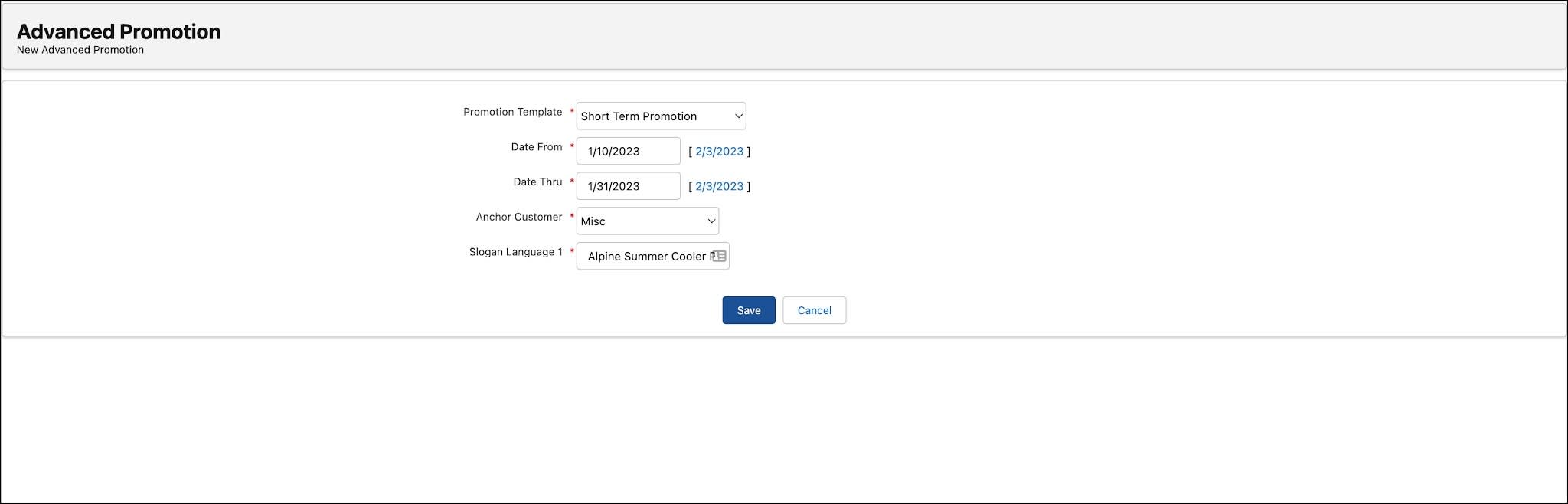 The New Advanced Promotion page showing the options to create a promotion.