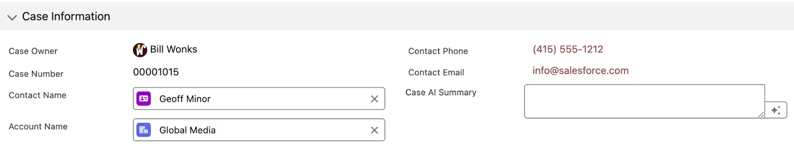 Case details displaying Case AI Summary field and Einstein button.