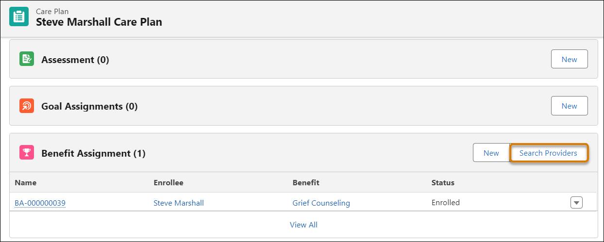 [Benefit Assignment (給付割り当て)] 関連リストの [Search Providers (提供者を検索)] ボタン