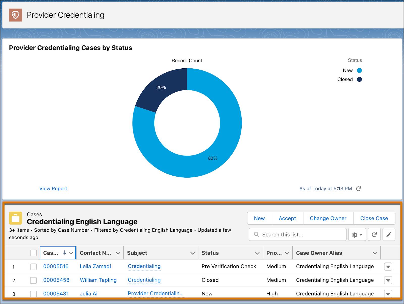 Provider Credentialing page showing the Credentialing English Language queue and metrics related to cases