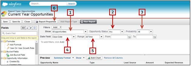 Customizing current year opportunities report
