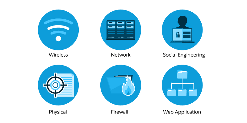 Icons representing different types of penetration tests including wireless, network, social engineering, physical, firewall, and web application.