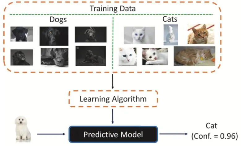 Training data illustration with photos of six black dogs, four white cats, and two brown cats fed into a learning algorithm for a predictive model. The model categorizes the white dog as a “cat” with confidence score of 0.96.