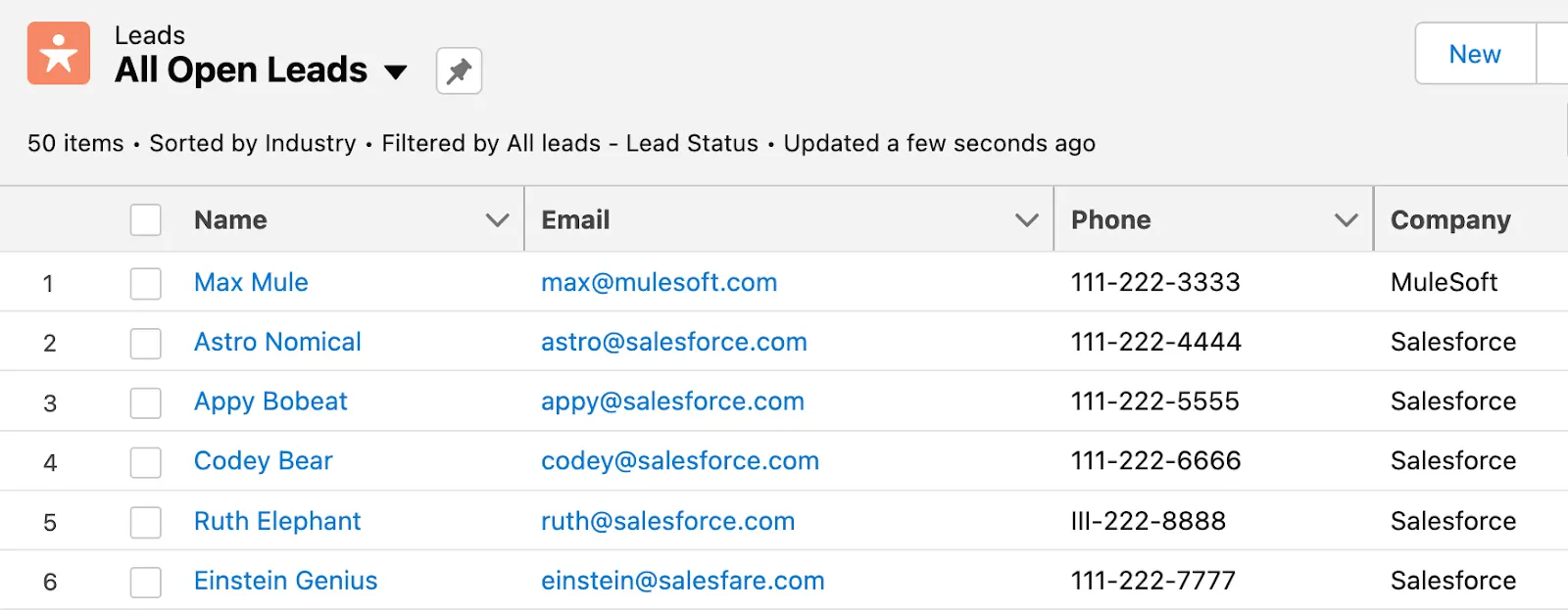 NTO org’s Sales Cloud leads showing the same six leads from the previous email attachment.