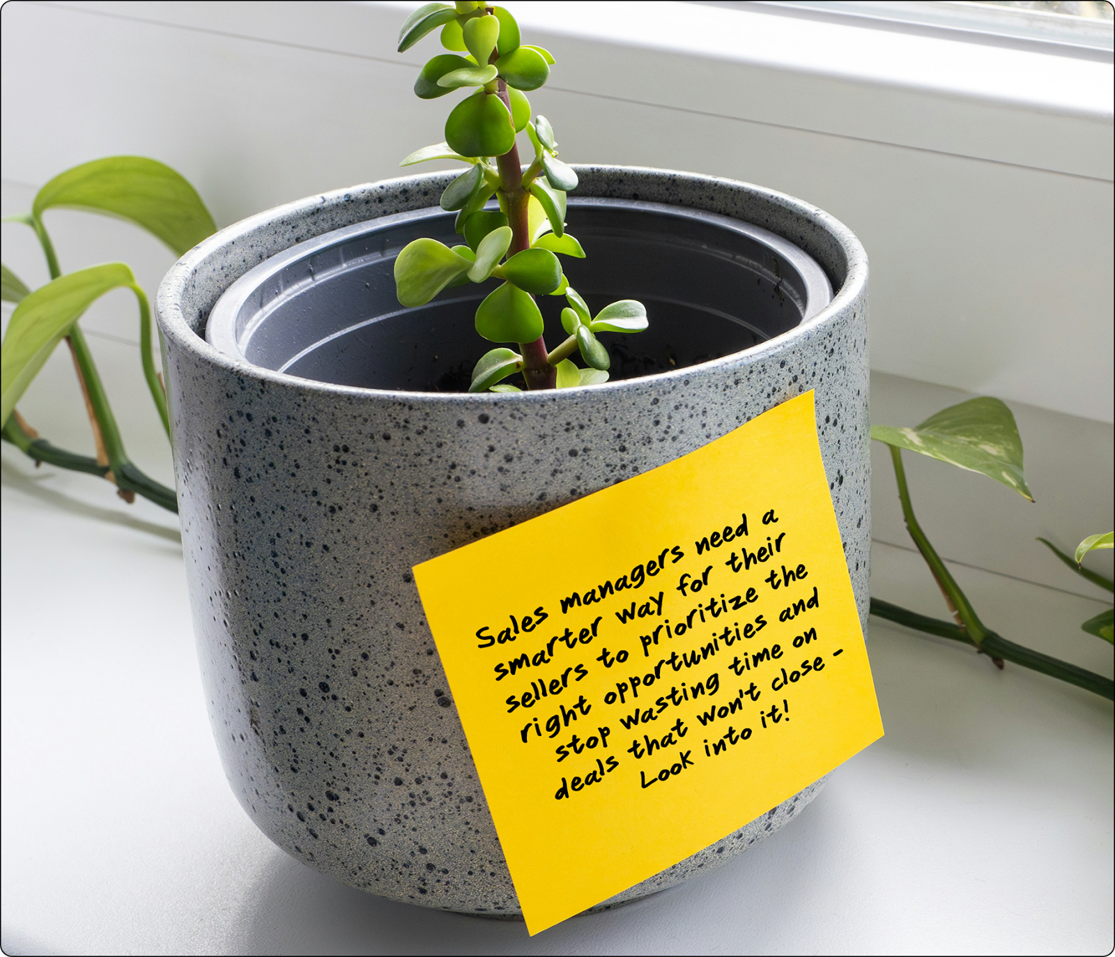 新しい機能への要求が書かれたメモが観葉植物の鉢に貼られている。