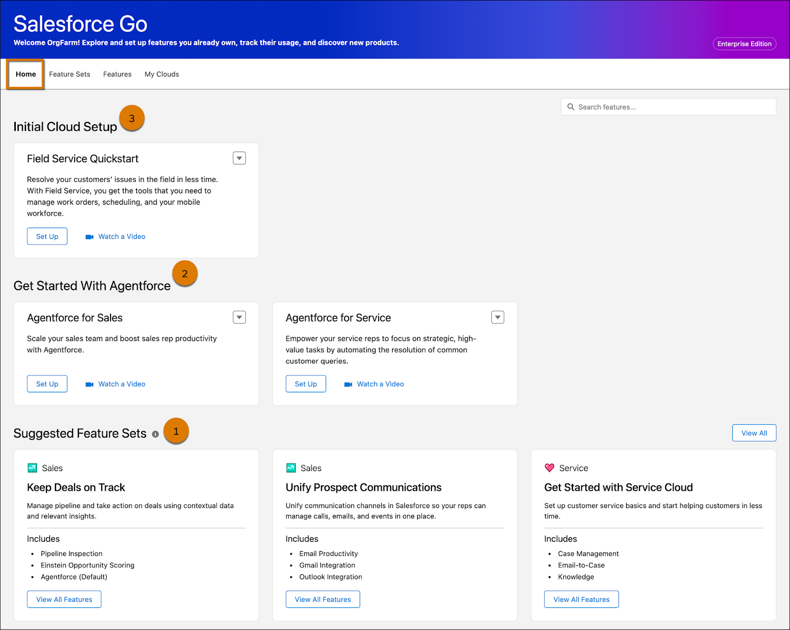 Salesforce Go page with the Home tab selected and highlighted.