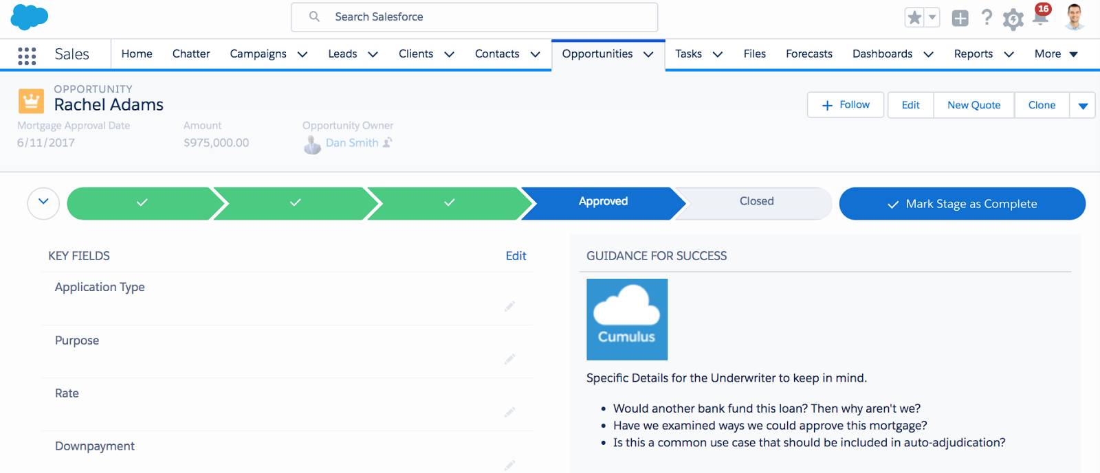 A screenshot showing Rachel Adam’s opportunity in Stage 4, Approved​