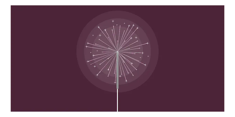 点燃的烟火烟花