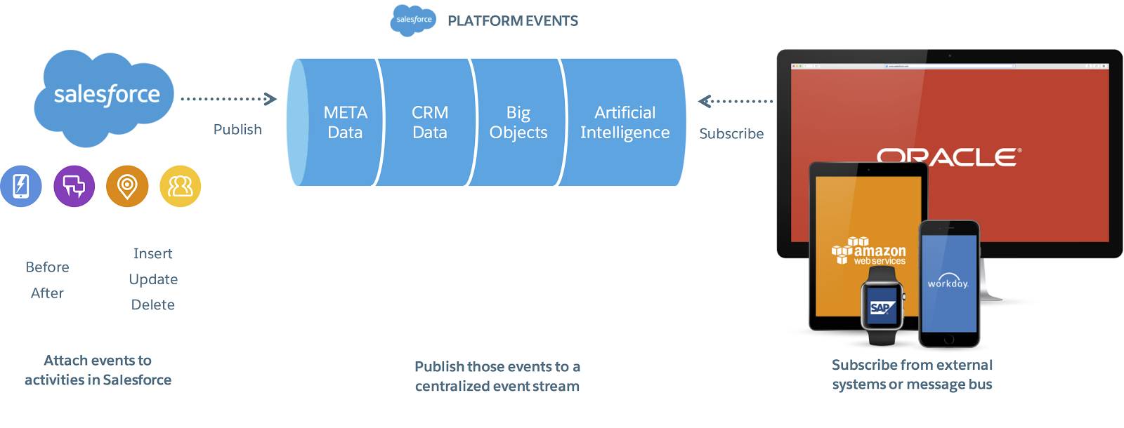 Customer-Data-Platform Buch