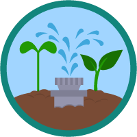 badge icon