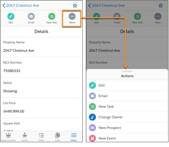 The action bar and actions menu in the Salesforce mobile app