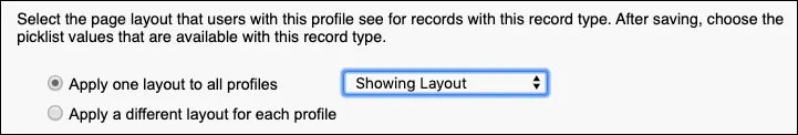Screenshot der Zuweisung eines Seitenlayouts zum neuen Datensatztyp