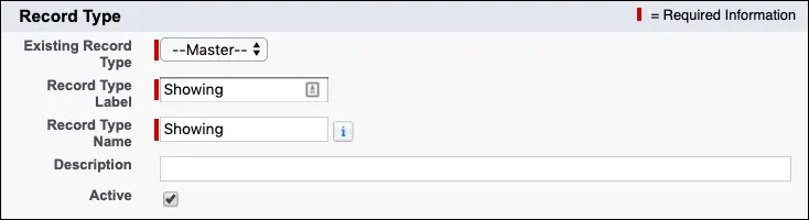 Screenshot der Details des neuen Datensatztyps