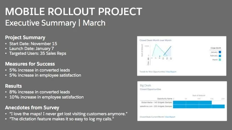 Graphic shows a sample executive summary