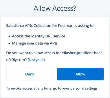 Screenshot of the Allow Access Dialog box that will appear asking if Postman is authorized