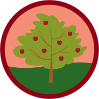 Salesforce.org Education Community Basics icon