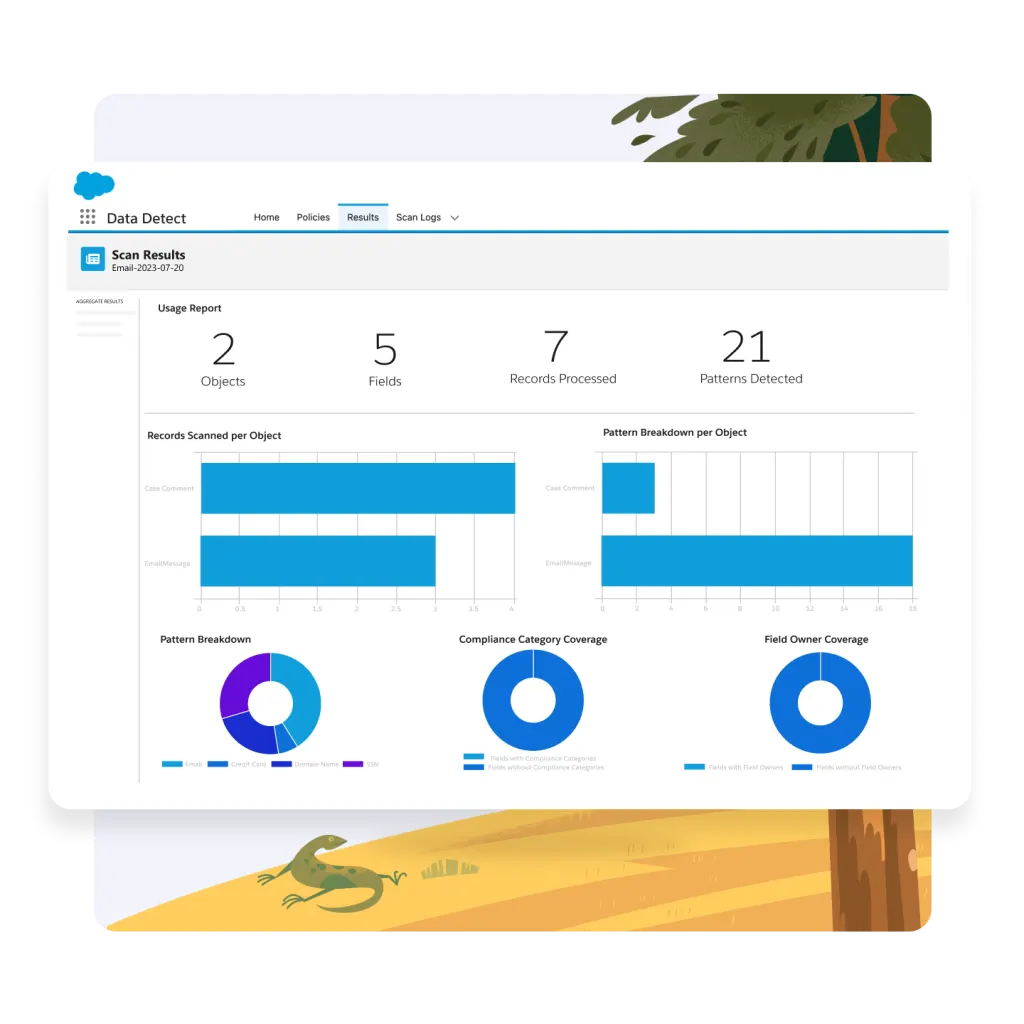 A Data Detect scan identifies sensitive data in a Salesforce org.