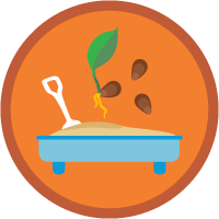 Seeding Basics