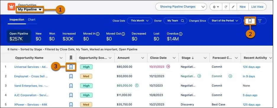 List of important opportunities with ways to filter highlighted, including important icon and pipeline views dropdown.