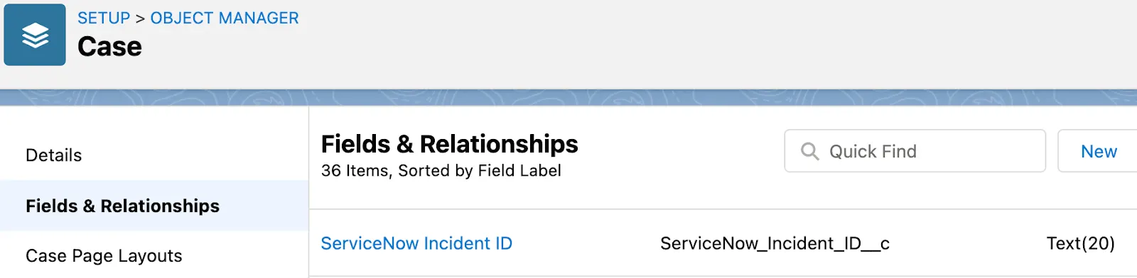 Case object with ServiceNow Incident ID custom field.