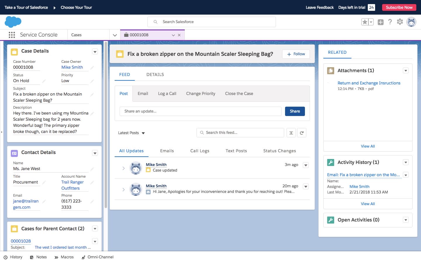 A case in Salesforce within the console