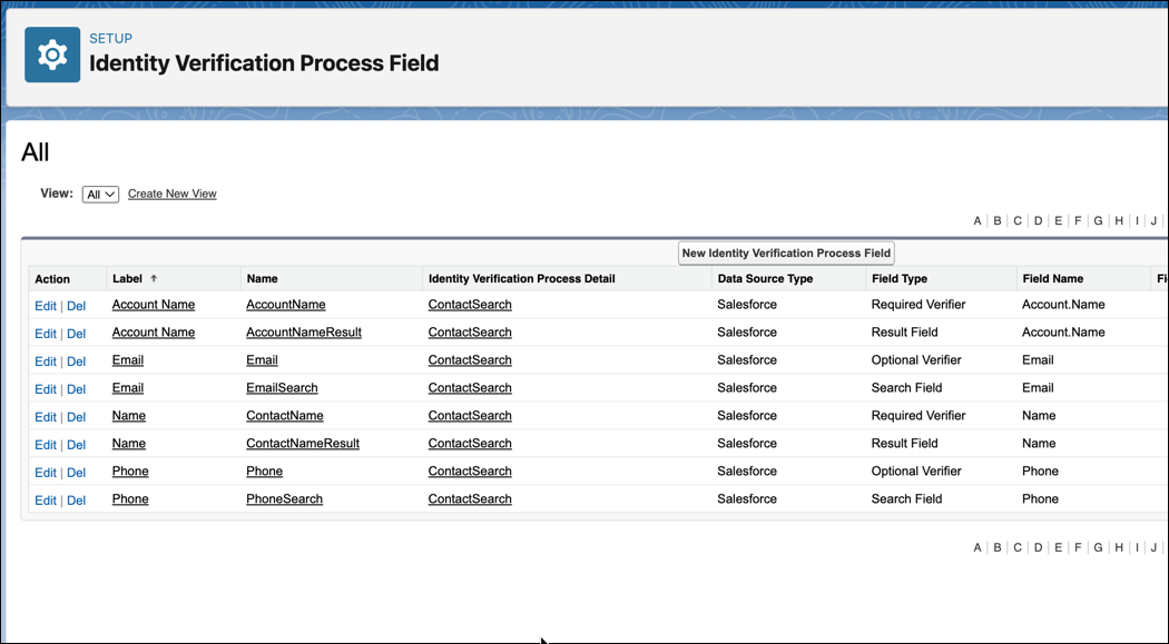 The predefined Identity Verification Process Field records.