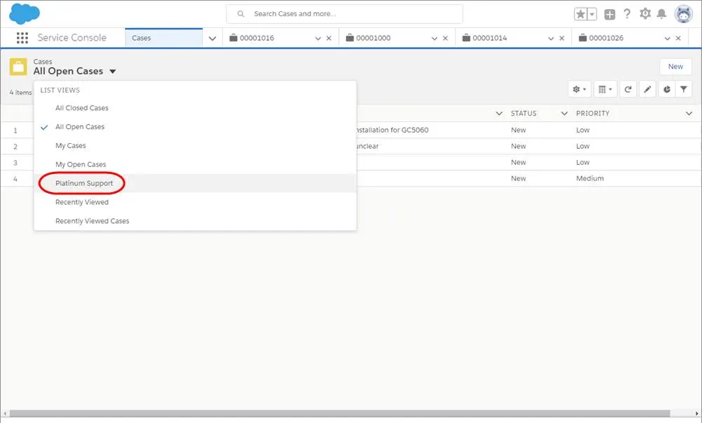 A screenshot of the Cases tab with Platinum Support selected from the view dropdown.