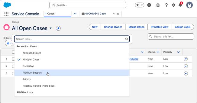 Die Servicekonsole mit Auswahl von "Platinum Support" (Platin-Support) im Dropdown-Menü mit Ansichten