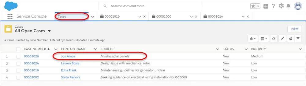 新規ケースが強調表示された [ケース] タブ。