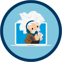 Review Einstein Conversation Insights Setup Requirements Salesforce Review Einstein Conversation Insights Setup Requirements Salesforce