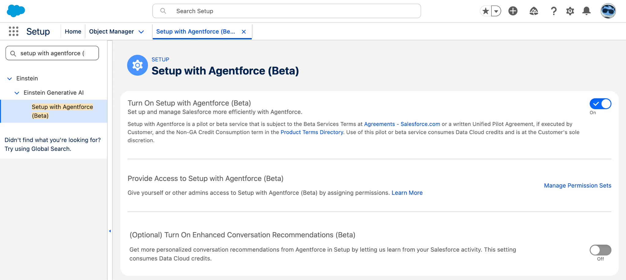 The Setup with Agentforce (Beta) configuration page in Setup.