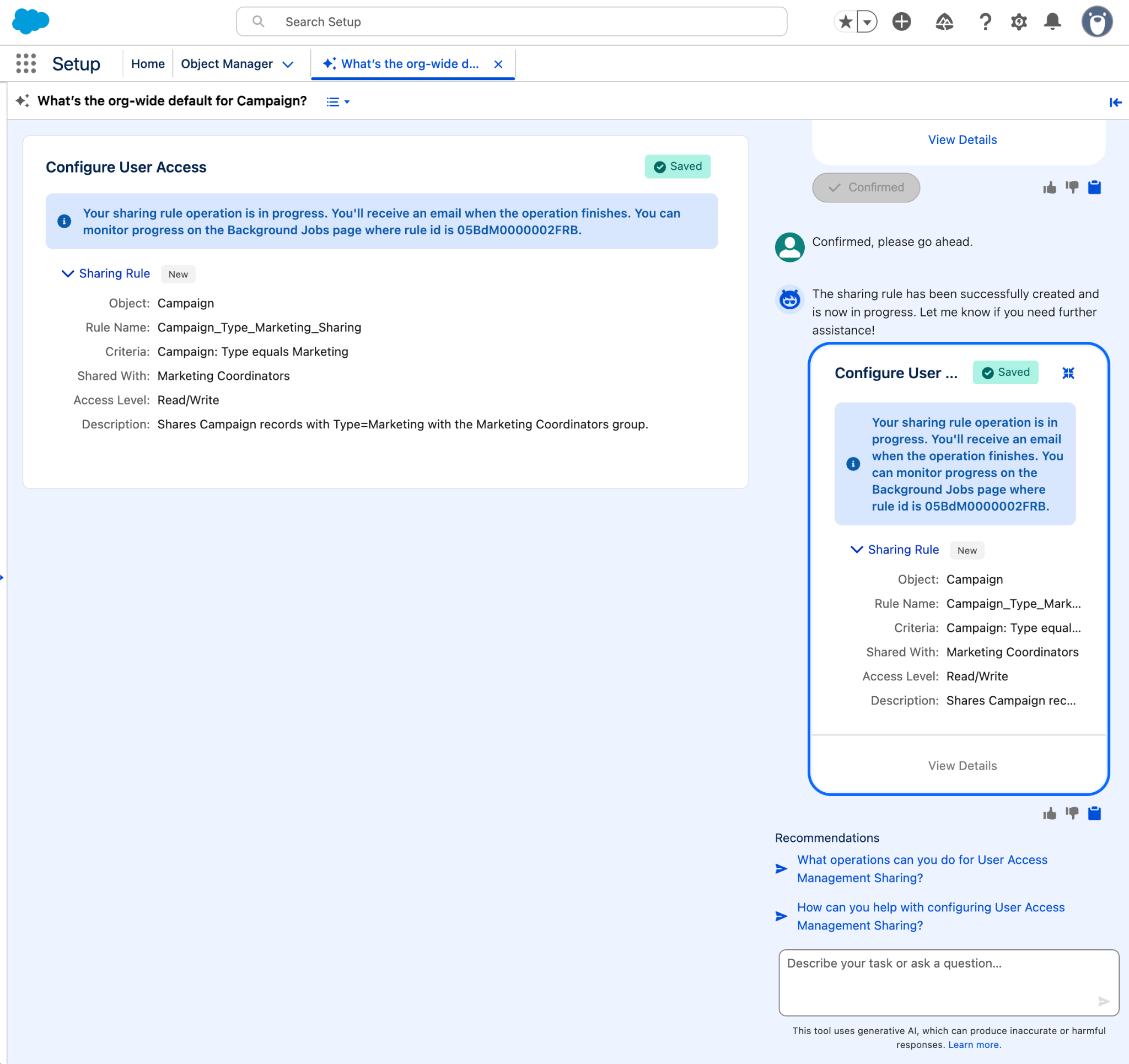 The campaign sharing rule created via the conversation with the agent.