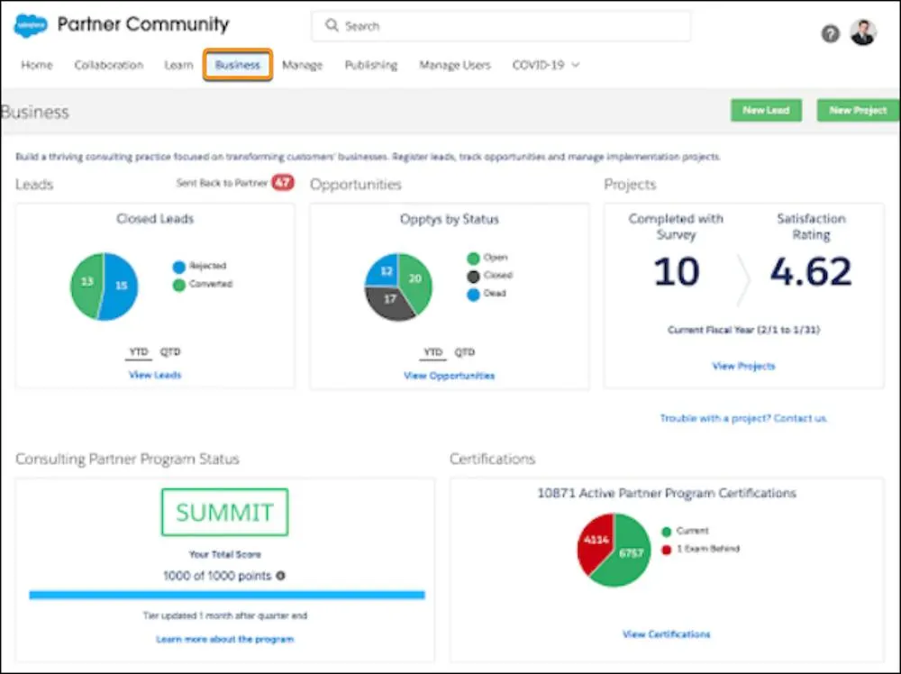 The Salesforce Partner Community Business tab