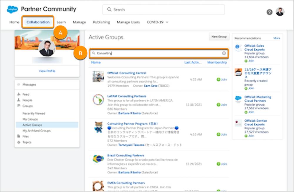 The Salesforce Partner Community Collaboration tab (A) with a highlight on the search box (B)