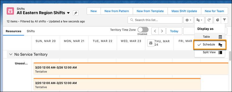 Shifts Schedule view