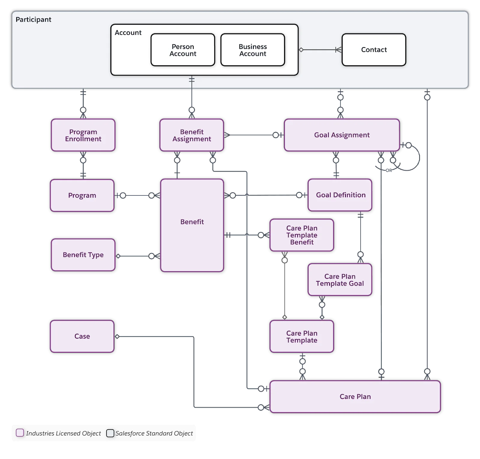 Care Plan data model diagram.