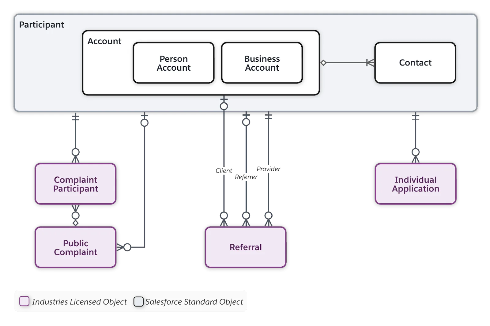 Participant, Public Complaints, Referrals, and Applications data model diagram.