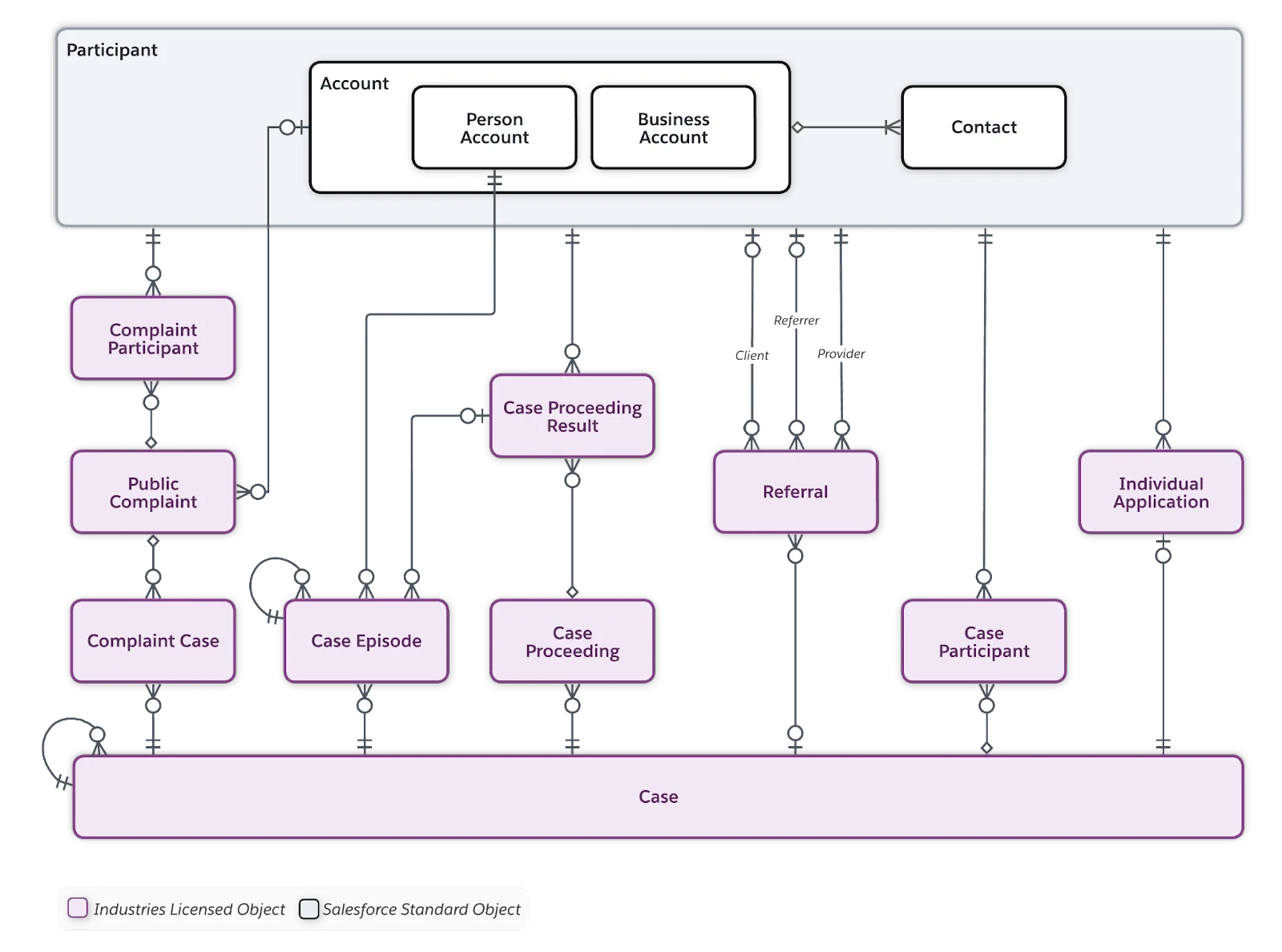 Case, Participant, and Intake data model diagram.