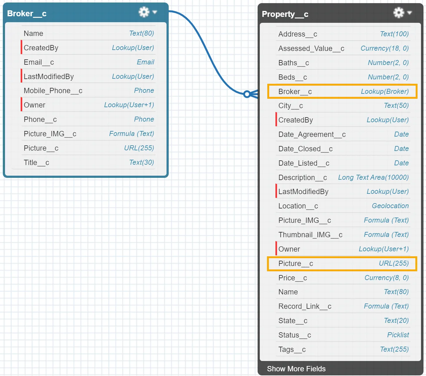 The Schema Builder displaying the Broker__c and Property__c custom objects. On the Property__c custom object, the Broker__c and Picture__c custom fields are highlighted.