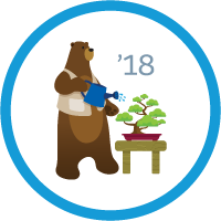 badge icon